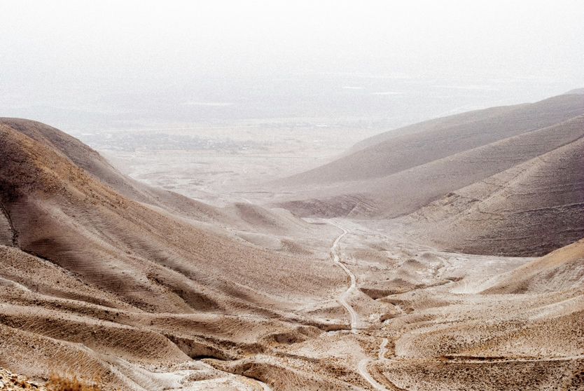 The Wilderness Way
