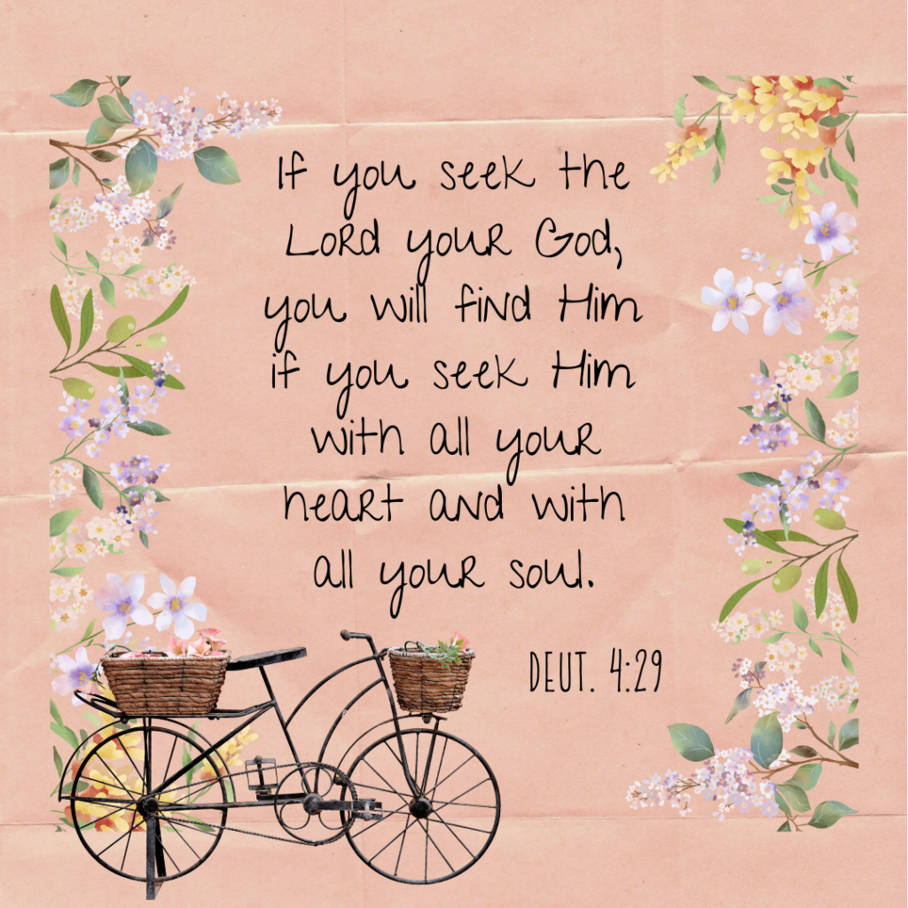 Deuteronomy 4:29