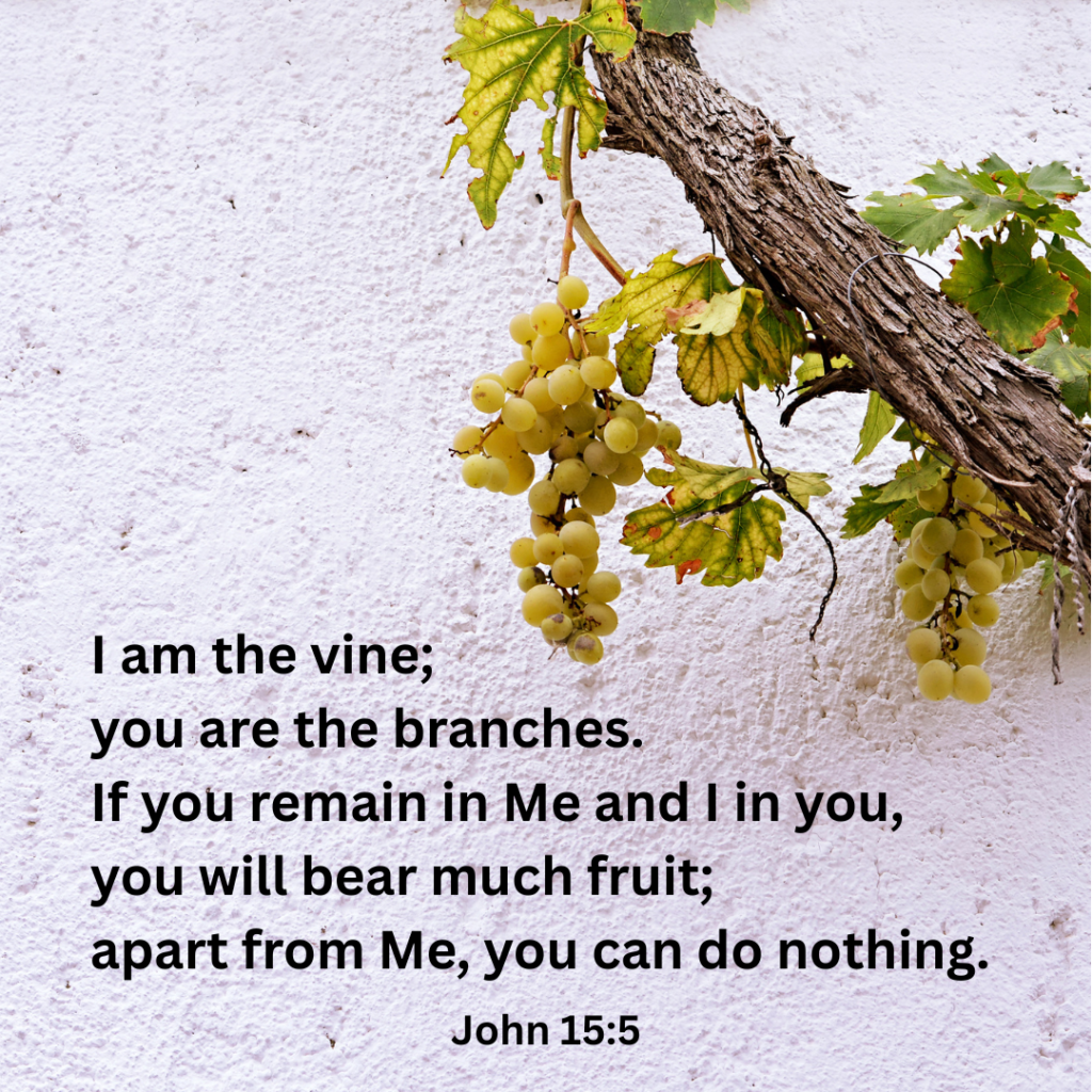 John 15:5