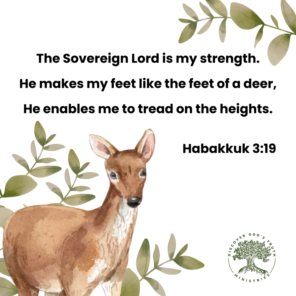 Habakkuk 3:19